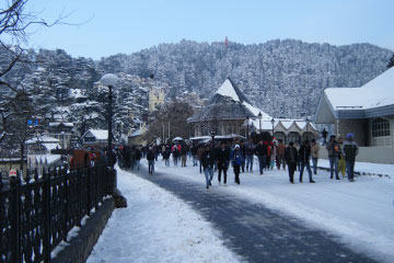 Amritsar Manali to Shimla Package